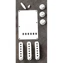 Fender Stratocaster Accessory Kit